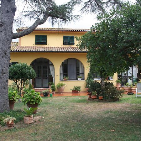 Tenuta Poggio Alla Farnia Fauglia Luaran gambar