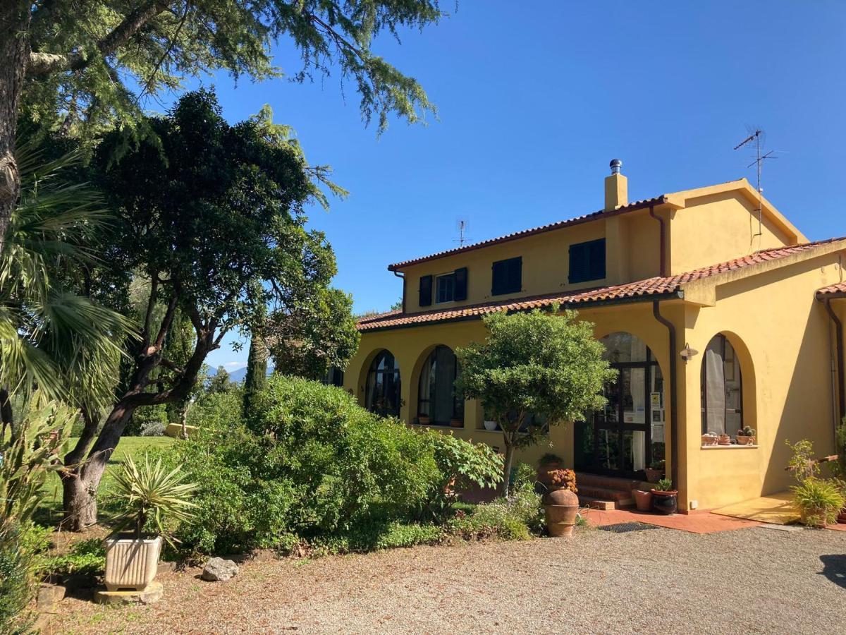 Tenuta Poggio Alla Farnia Fauglia Luaran gambar