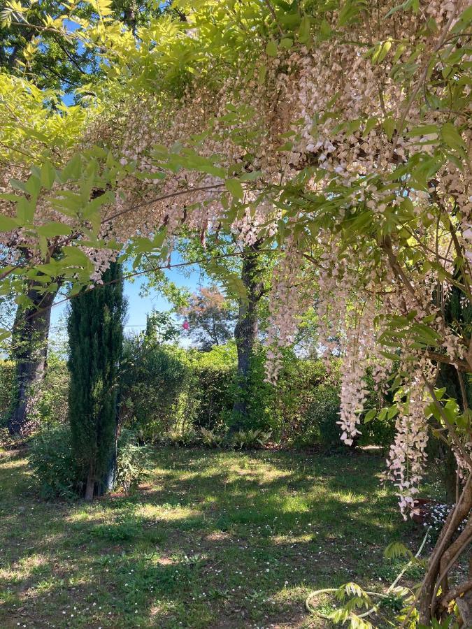 Tenuta Poggio Alla Farnia Fauglia Luaran gambar