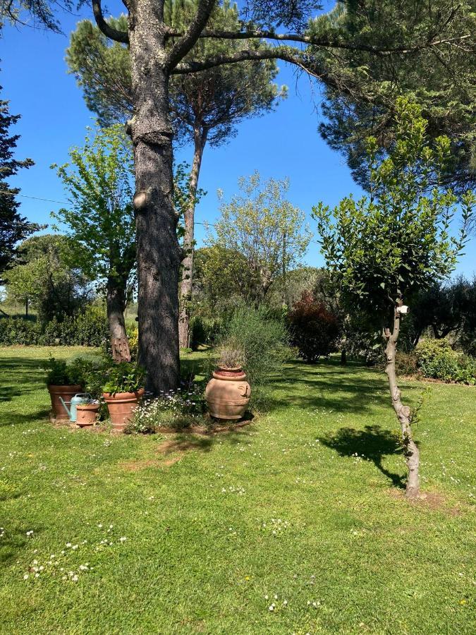 Tenuta Poggio Alla Farnia Fauglia Luaran gambar